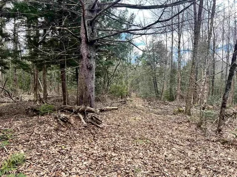 0 Parker Road Coventry VT 05825