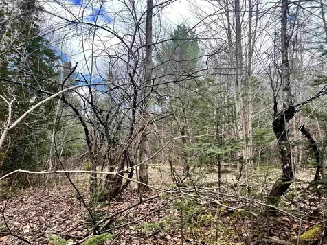 0 Parker Road Coventry VT 05825