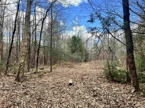 0 Parker Road Coventry VT 05825