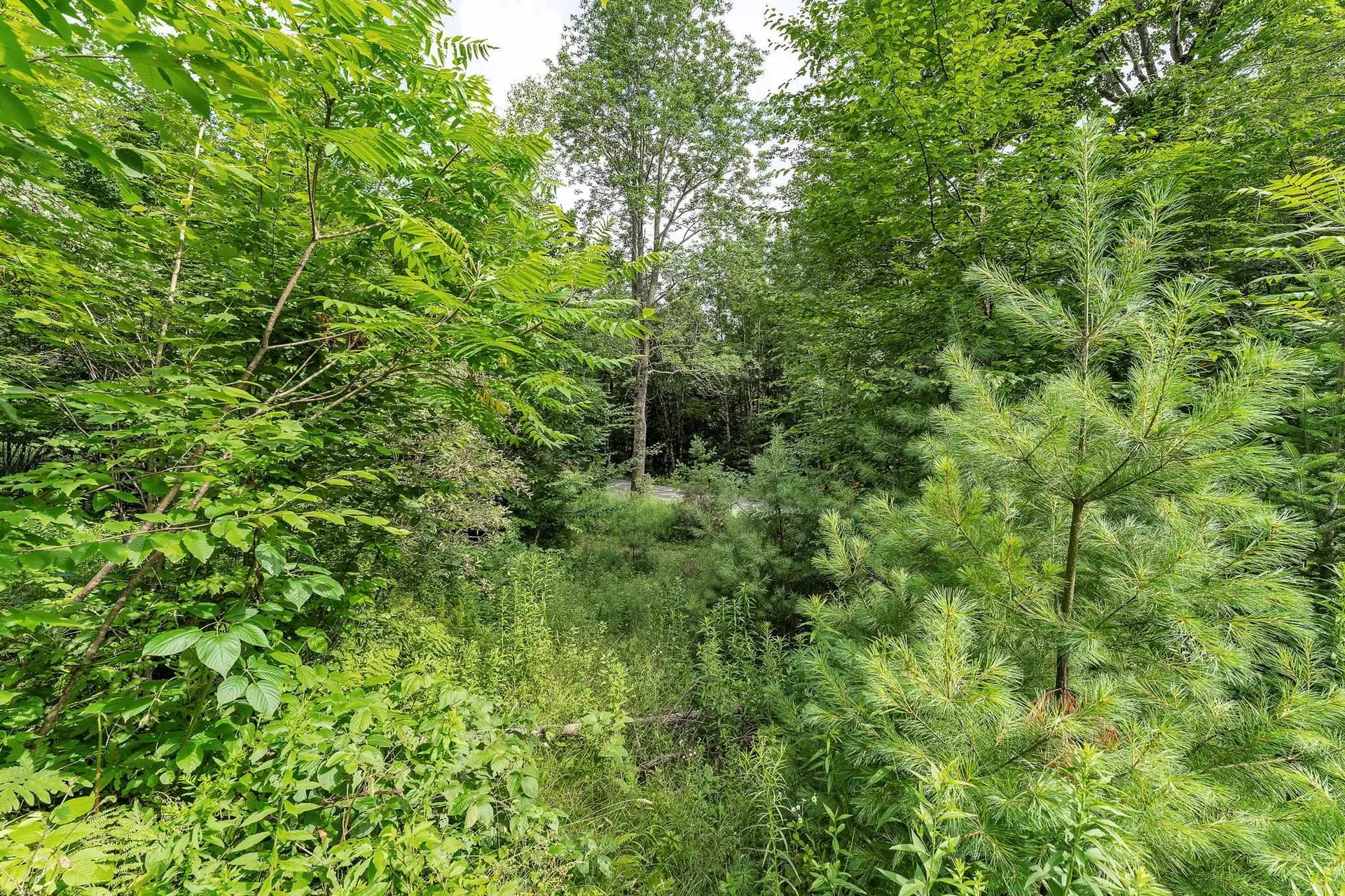 0 Little Northfield Road Northfield VT 05663