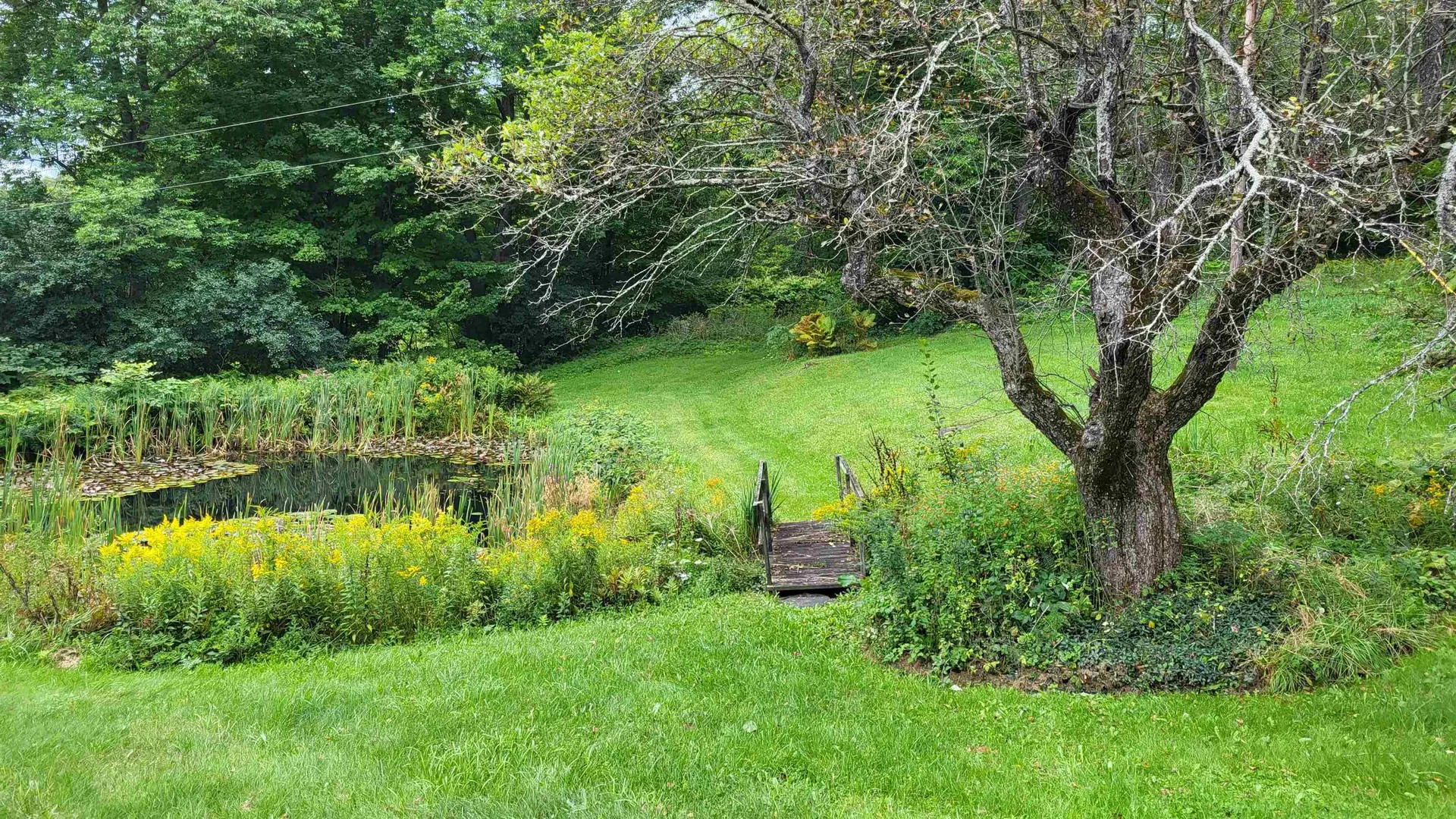 3465 Bear Hill Road Brookfield VT 05036