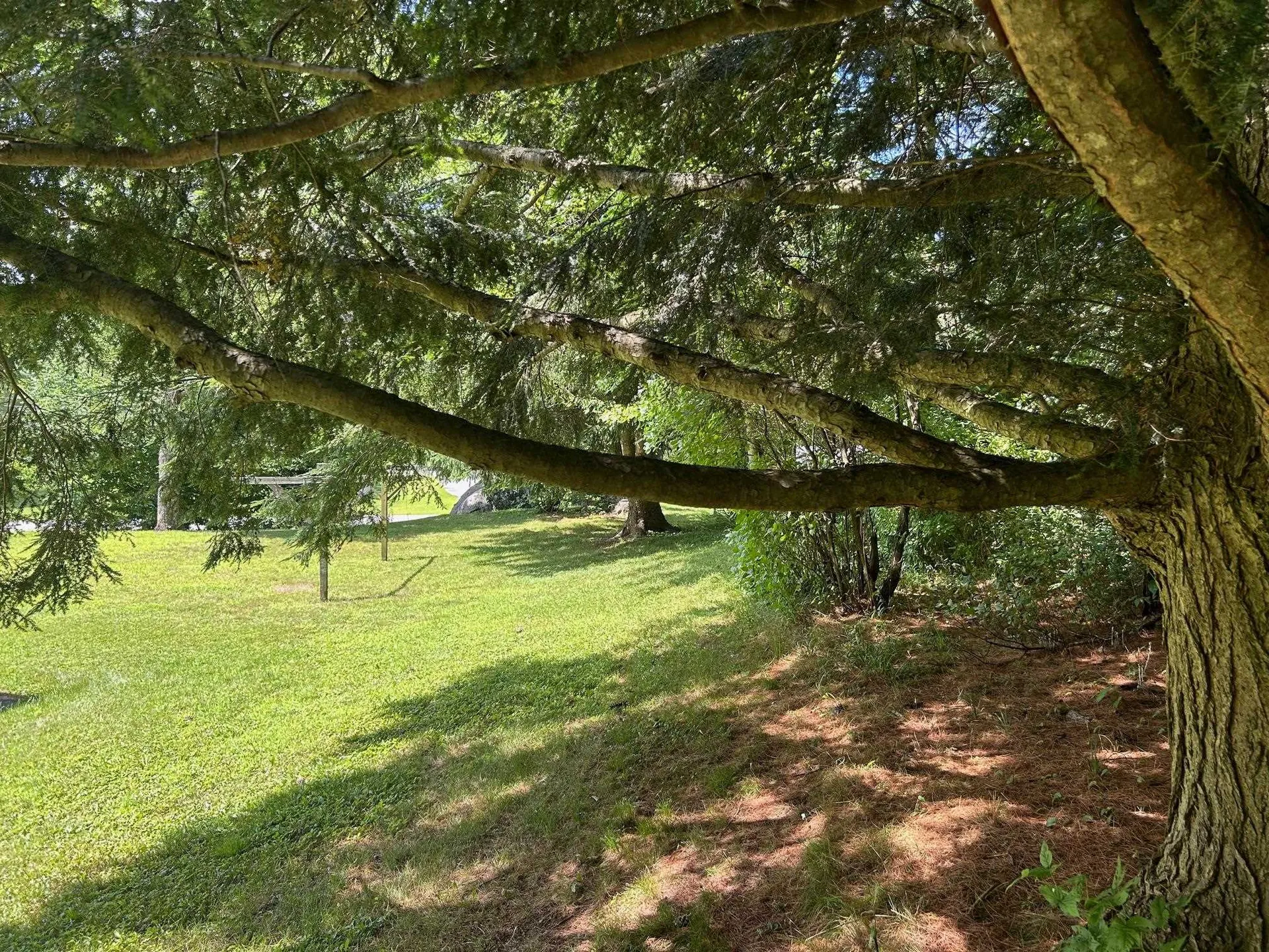 1737 Randolph Road Morristown VT 05661