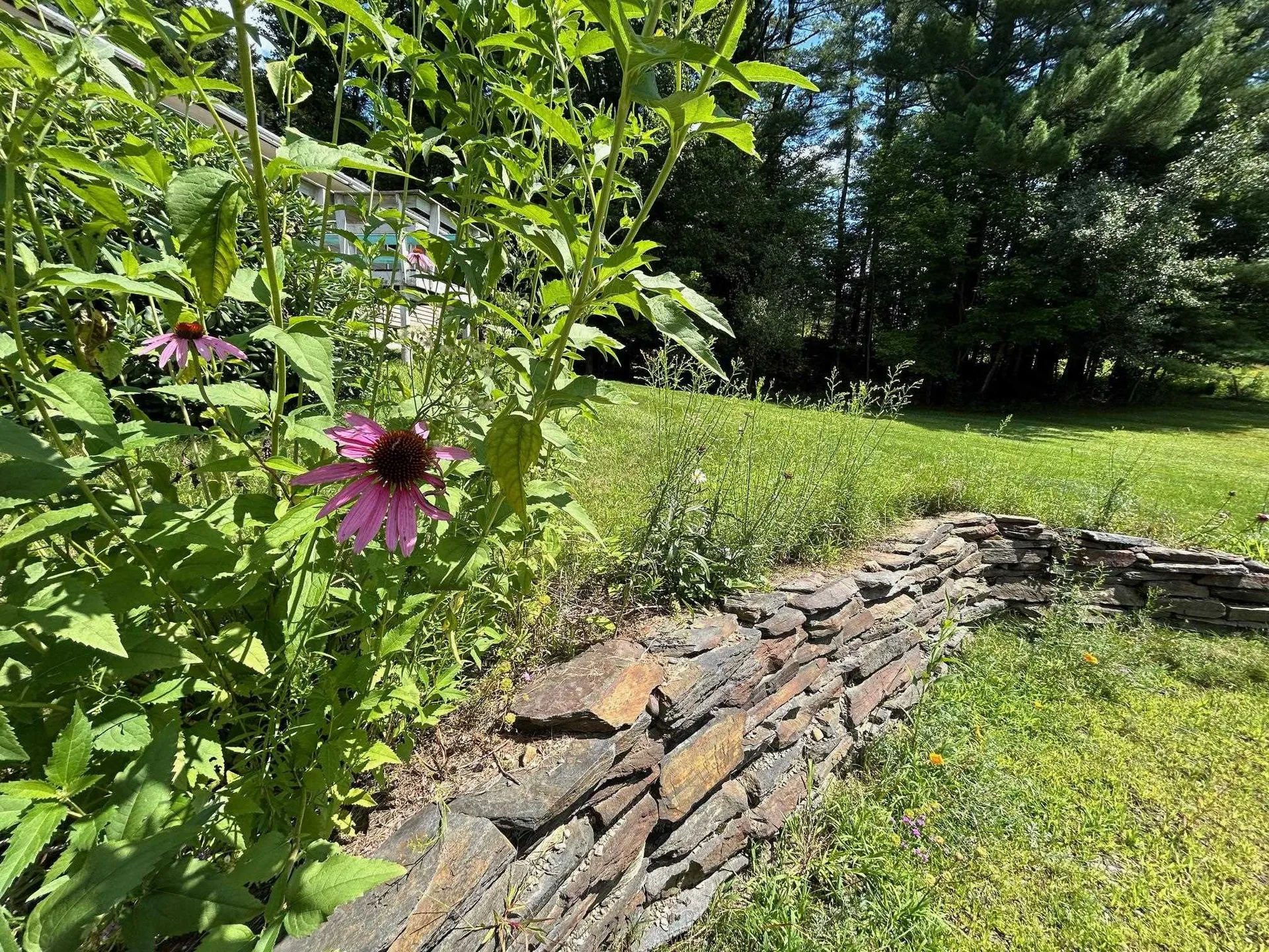 1737 Randolph Road Morristown VT 05661