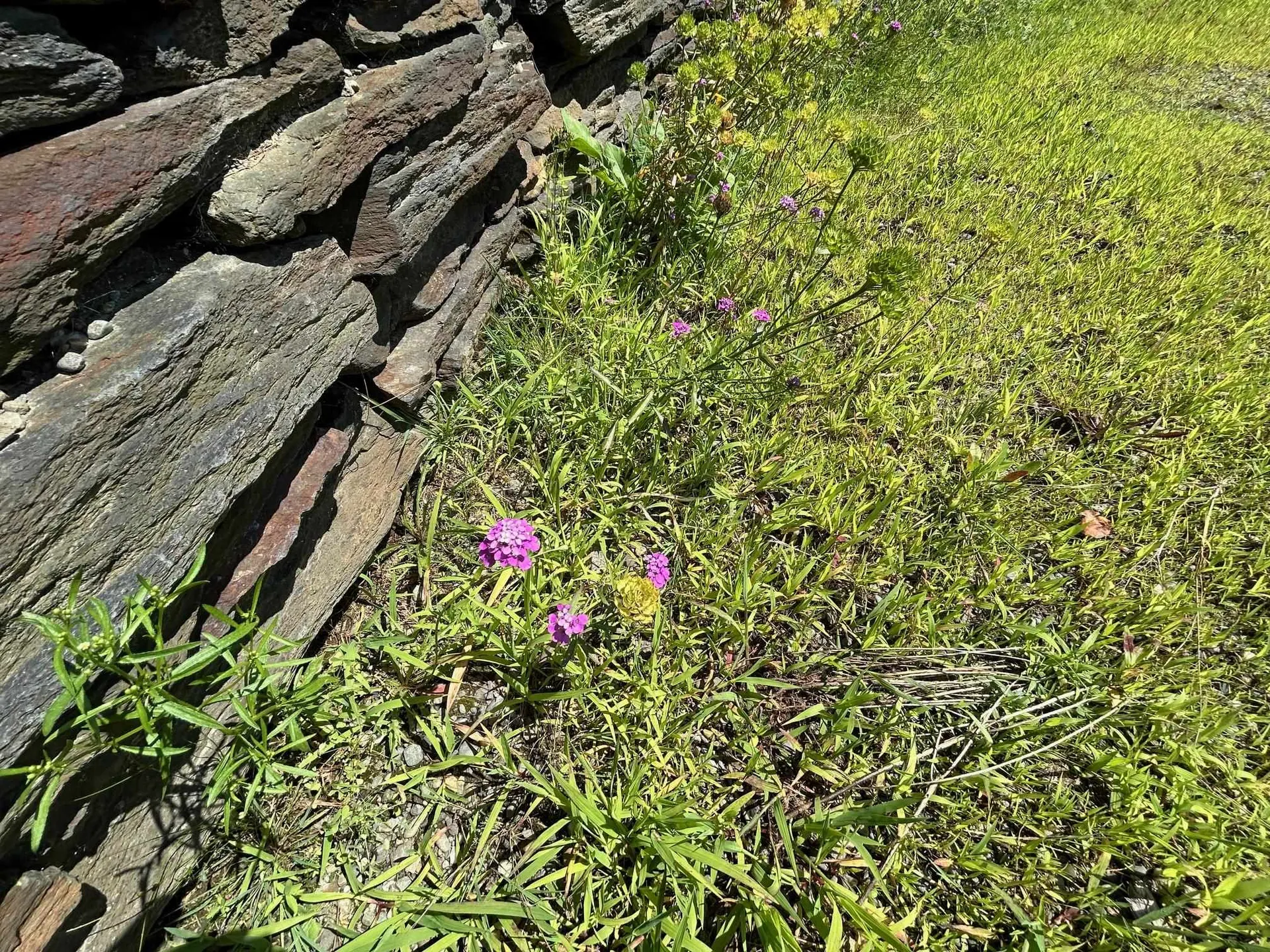 1737 Randolph Road Morristown VT 05661