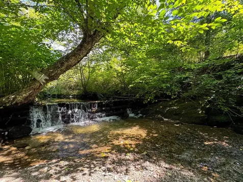 30 Swamp Road Topsham VT 05076