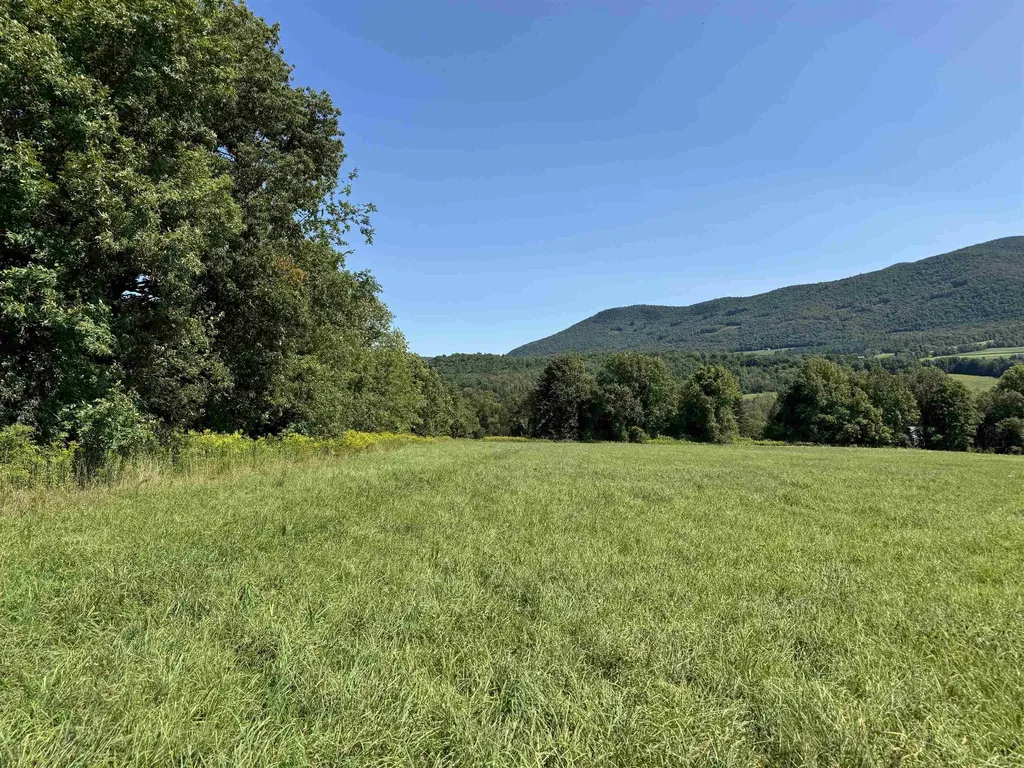 460 Beaver Brook Road Pawlet VT 05761