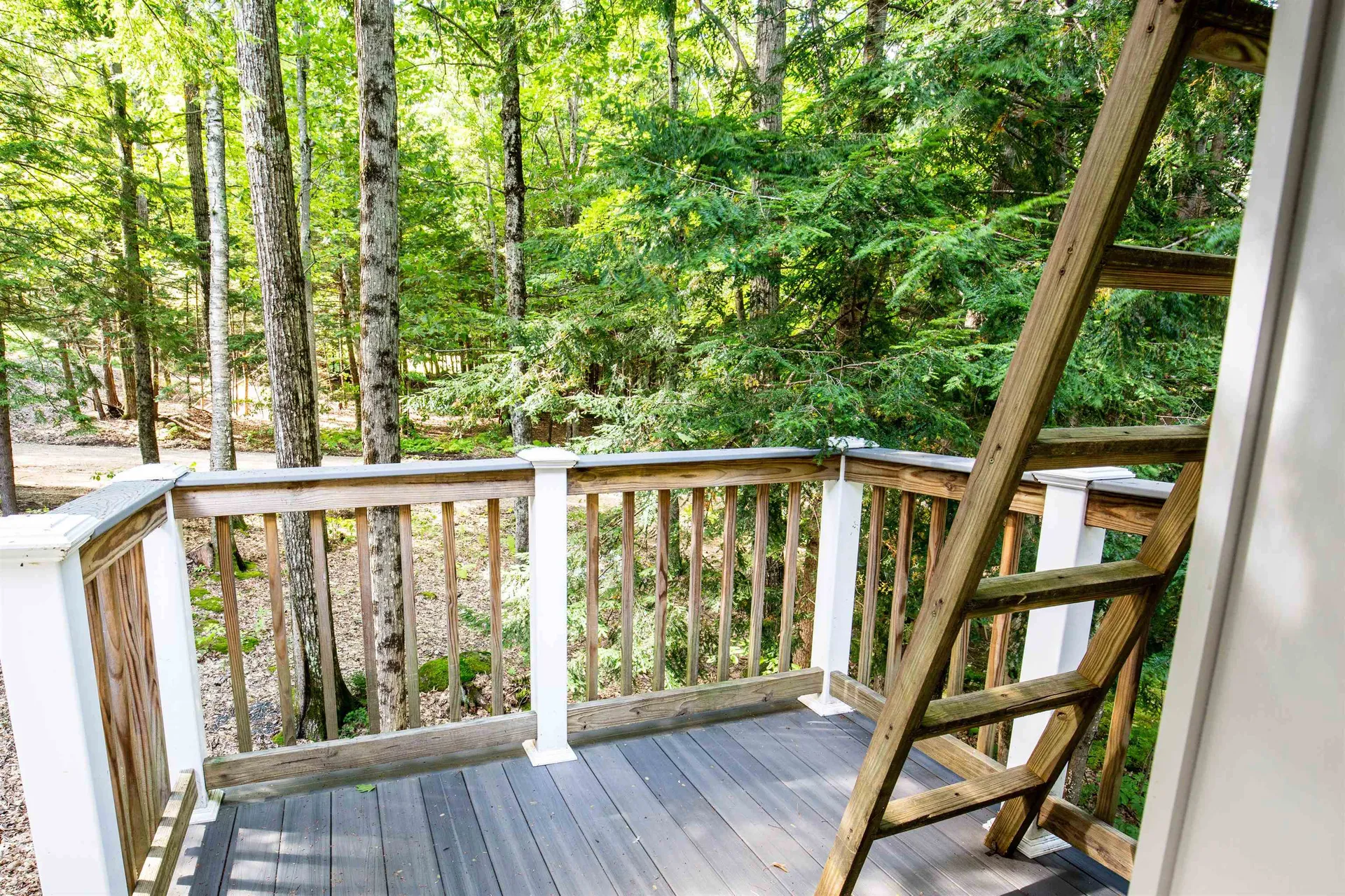 8 Oak Ridge Road Plymouth NH 03264