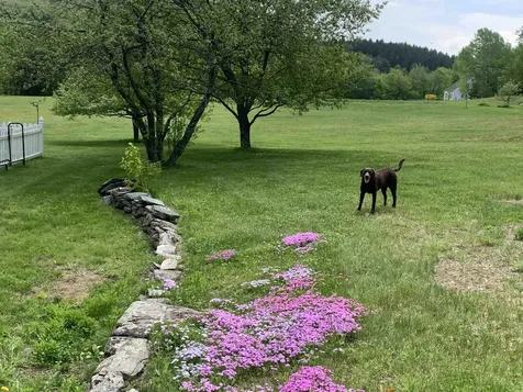 73 Jewell Brook Farm Road Ludlow VT 05149