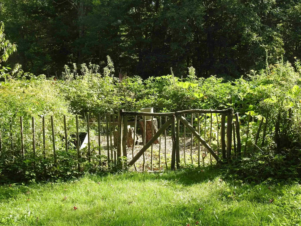 1471 Back Road Belvidere VT 05442