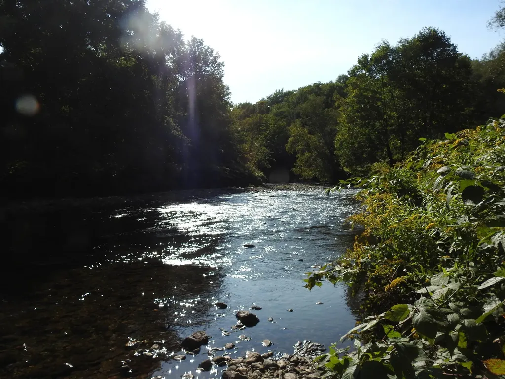 1471 Back Road Belvidere VT 05442