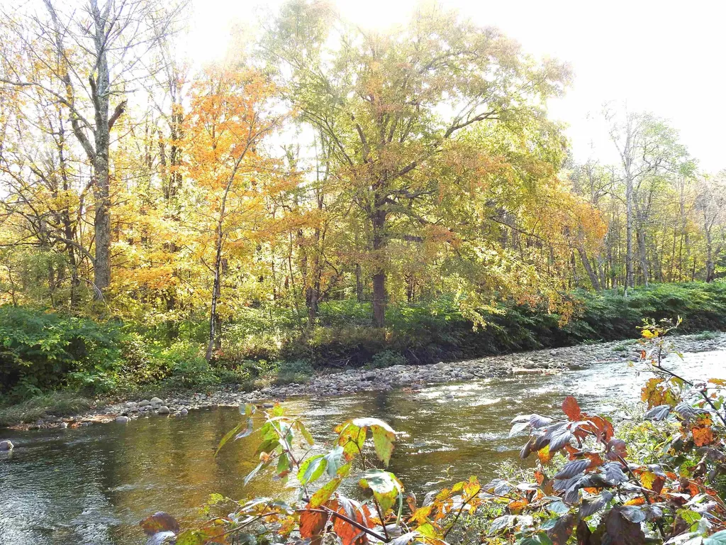 1471 Back Road Belvidere VT 05442