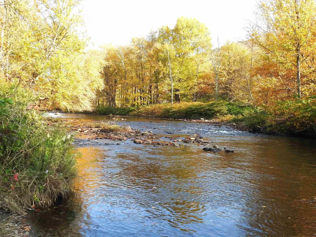 1471 Back Road Belvidere VT 05442