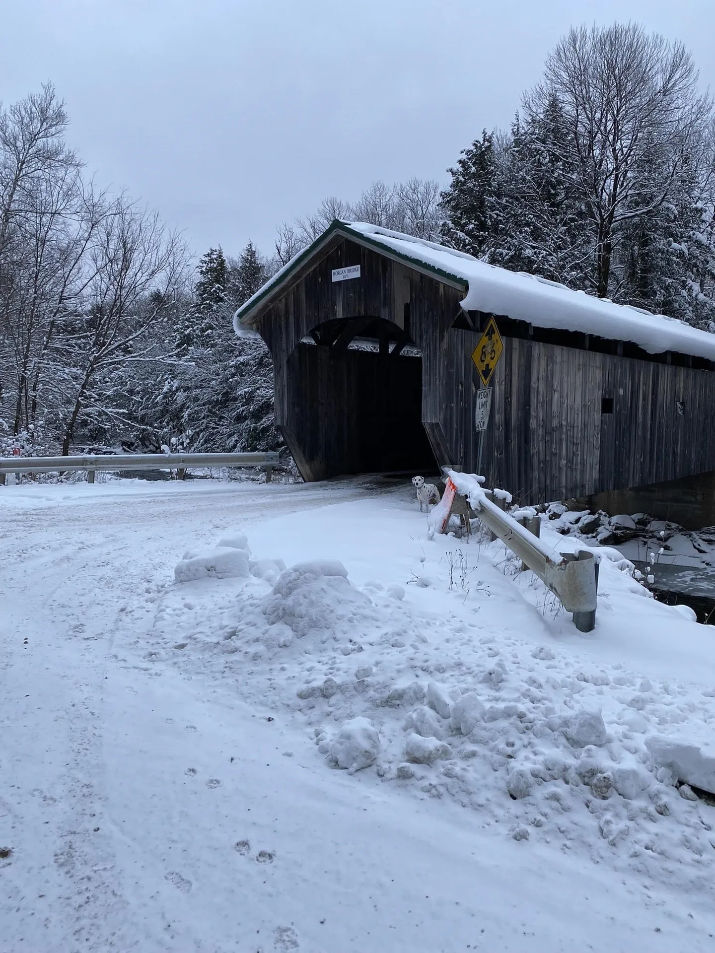 1471 Back Road Belvidere VT 05442