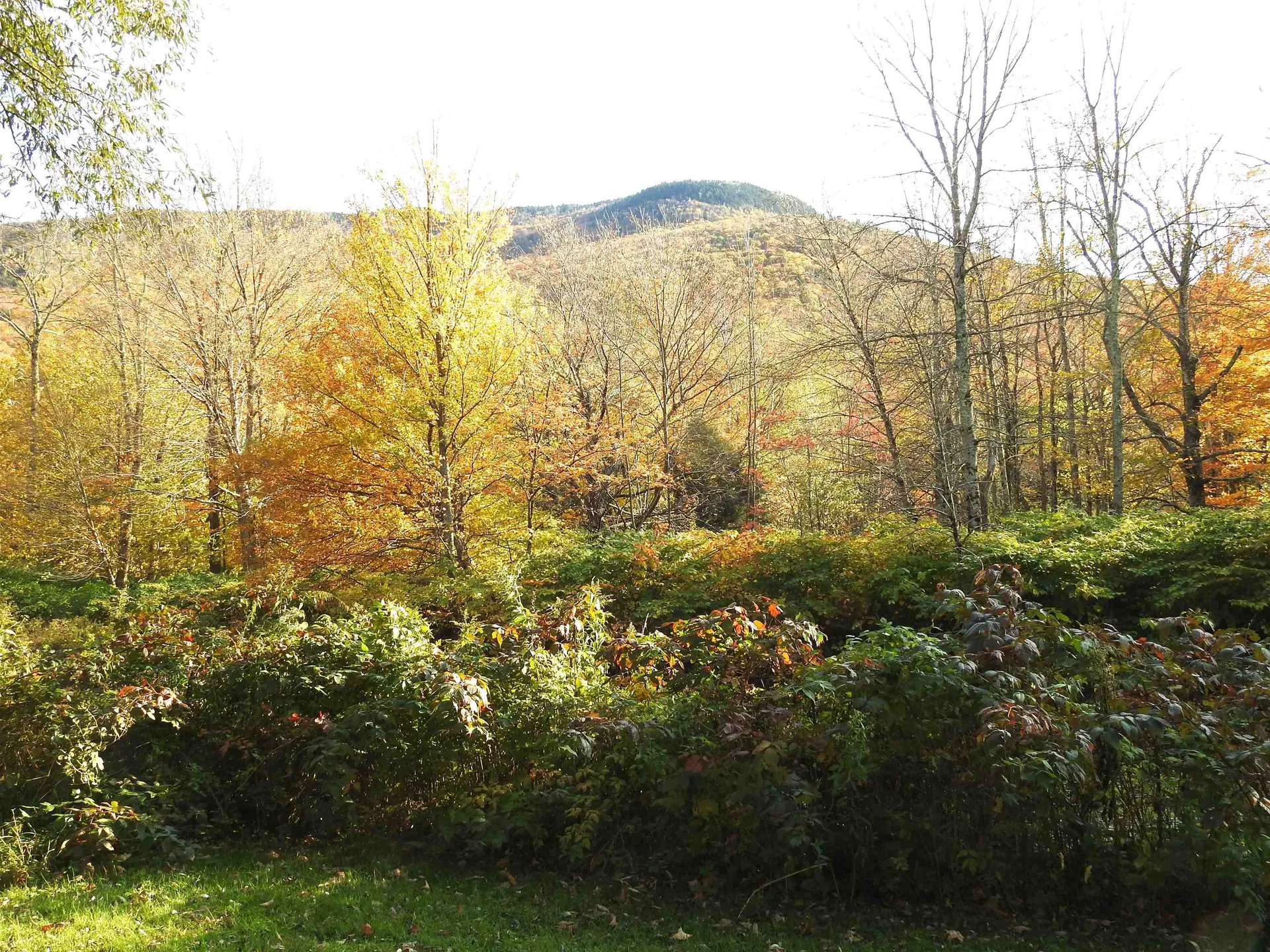 1471 Back Road Belvidere VT 05442