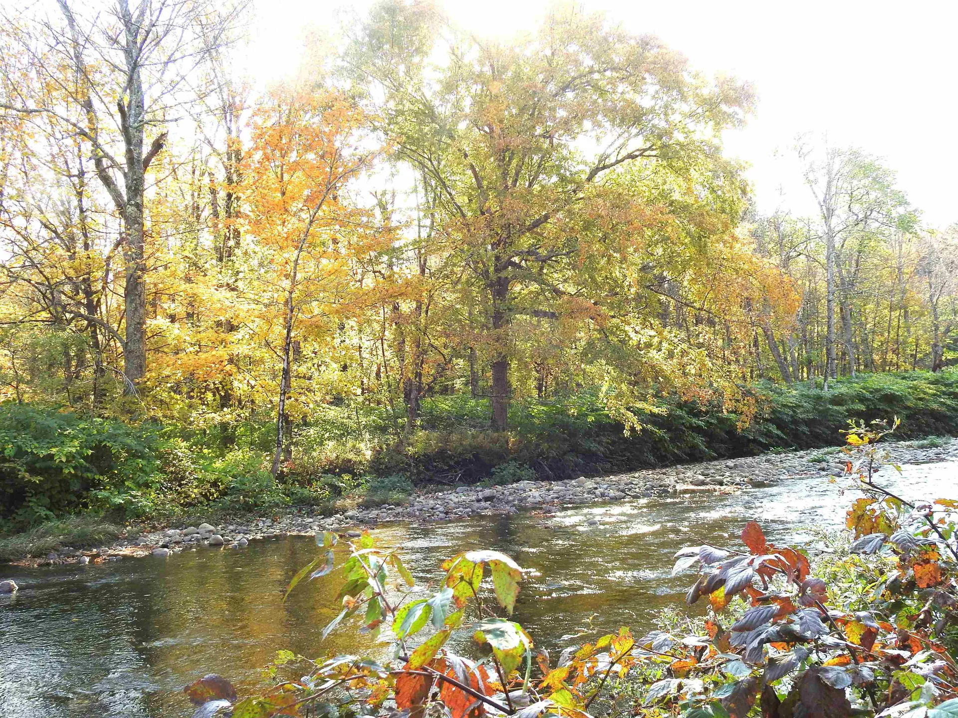 1471 Back Road Belvidere VT 05442