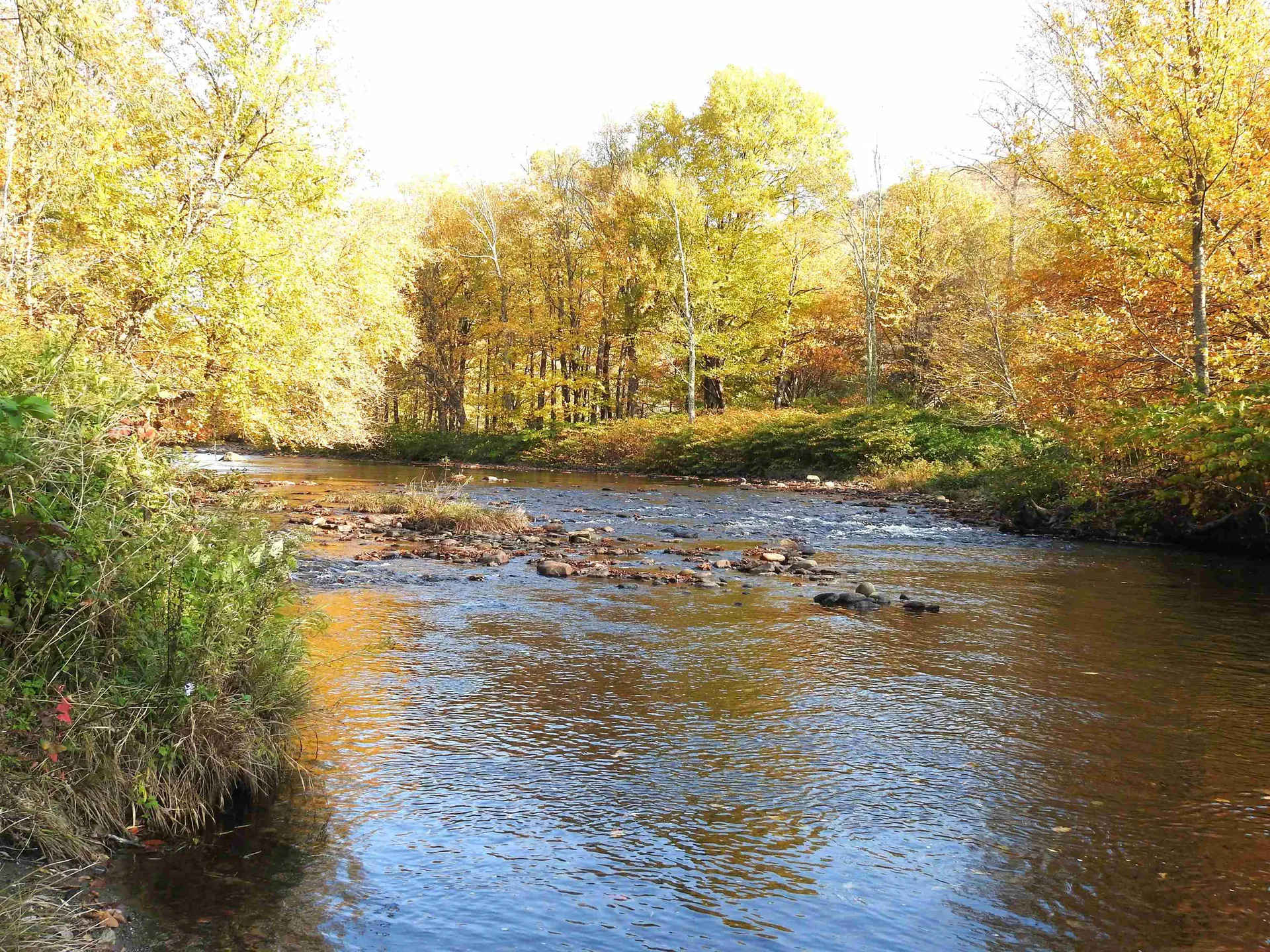 1471 Back Road Belvidere VT 05442