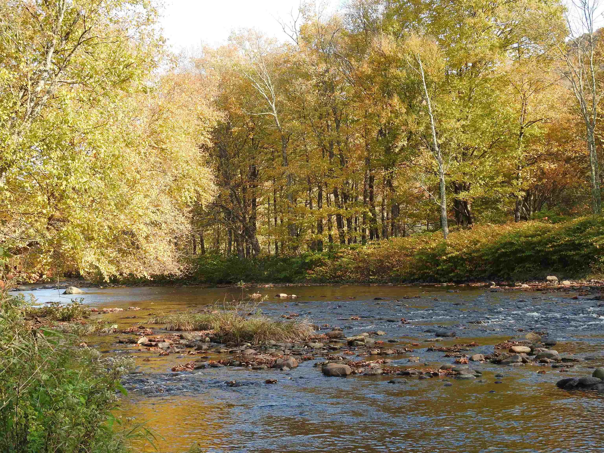 1471 Back Road Belvidere VT 05442