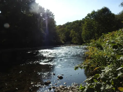 1471 Back Road Belvidere VT 05442