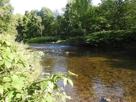 1471 Back Road Belvidere VT 05442