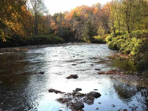 1471 Back Road Belvidere VT 05442