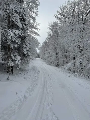 16 Running Sap Lane Dover VT 05356