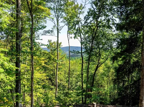 00 Arbor Lane Duxbury VT 05676