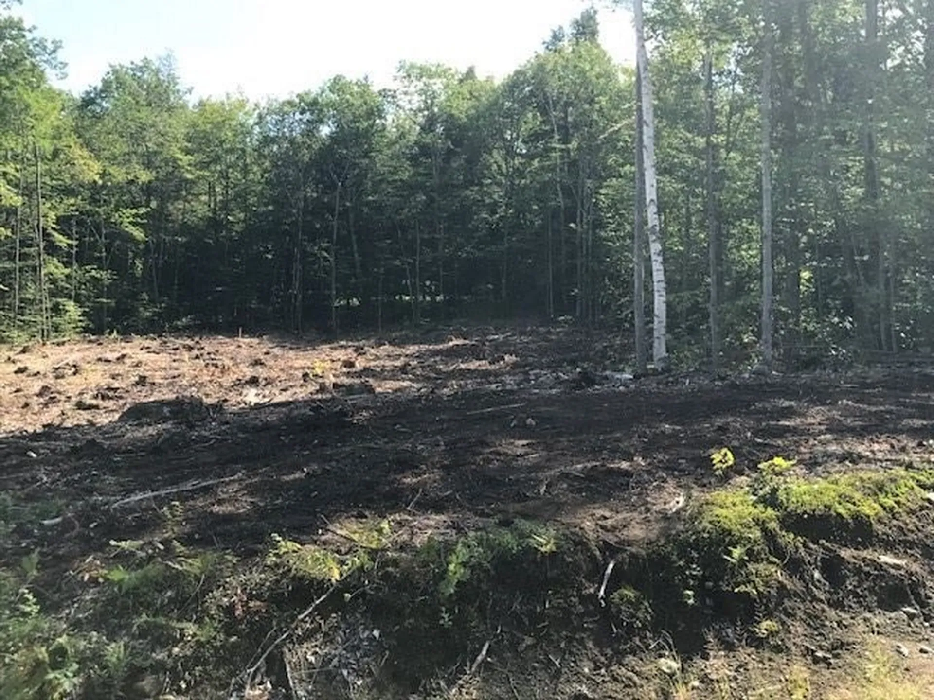 Lot 8 Carmel Drive Plymouth NH 03264