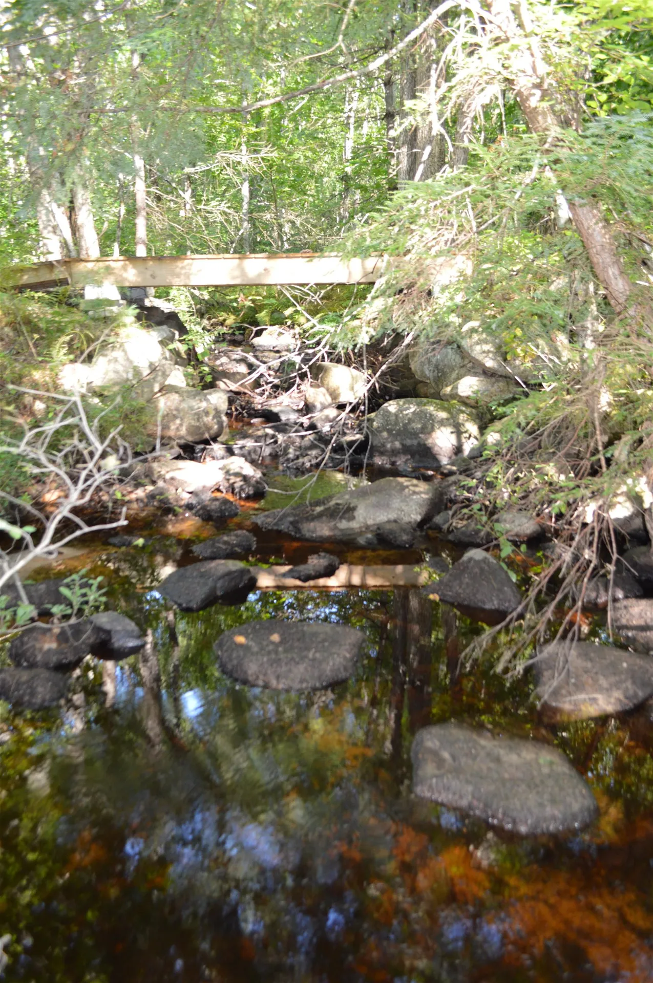 920 Pine River Pond Road Wakefield NH 03872