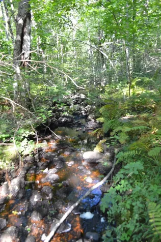 920 Pine River Pond Road Wakefield NH 03872