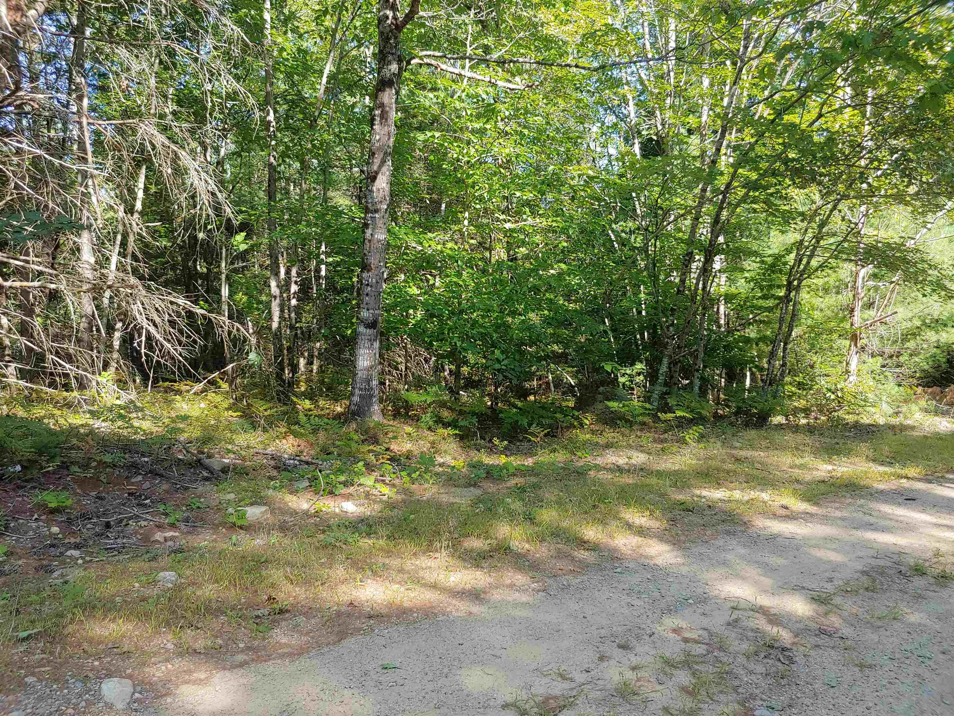 Lot 5 Spruce Court Barnstead NH 03225