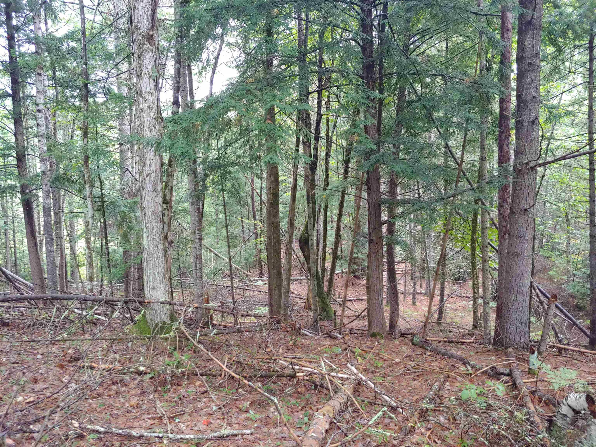 Lot 5 Spruce Court Barnstead NH 03225