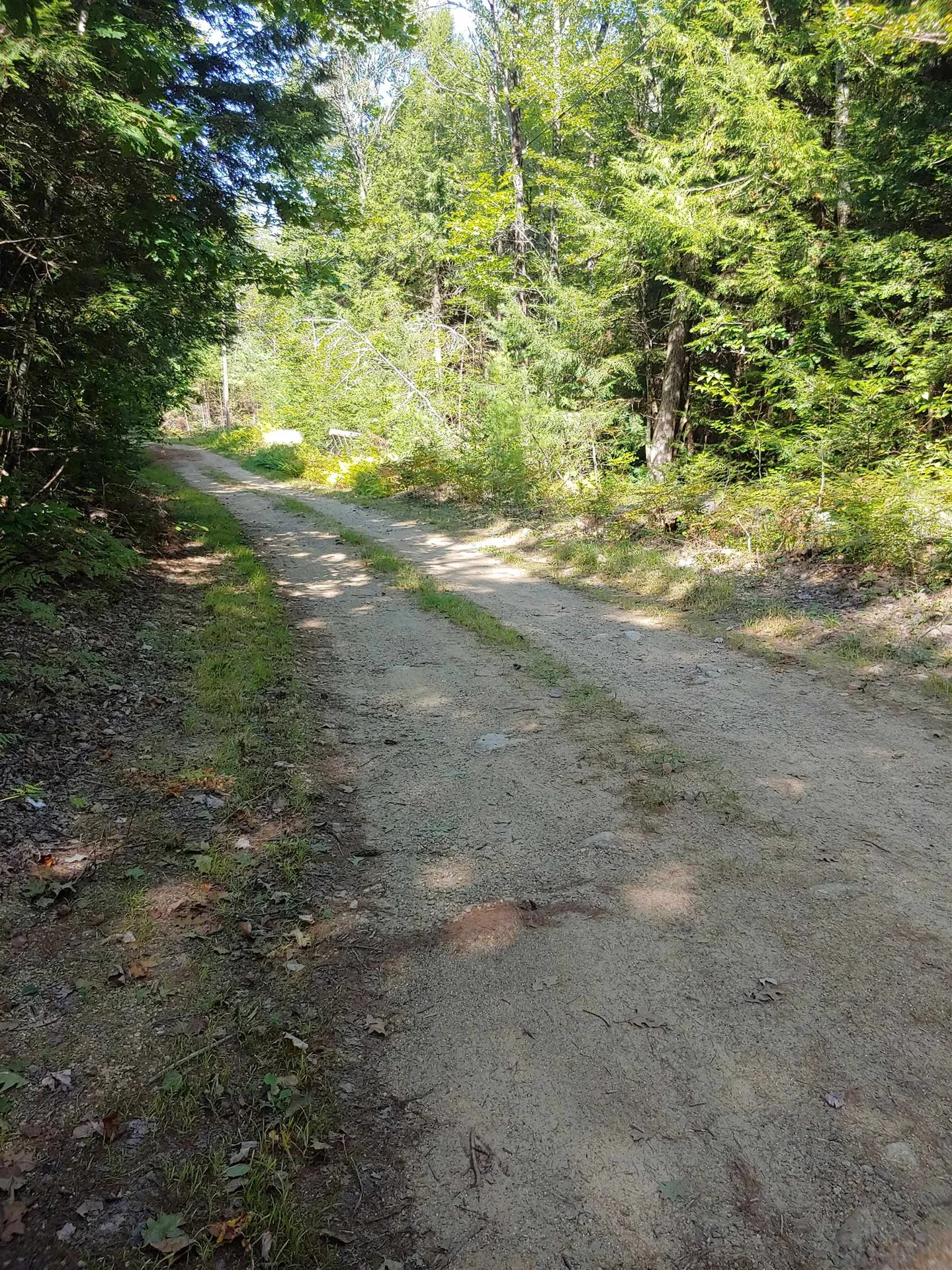 Lot 5 Spruce Court Barnstead NH 03225