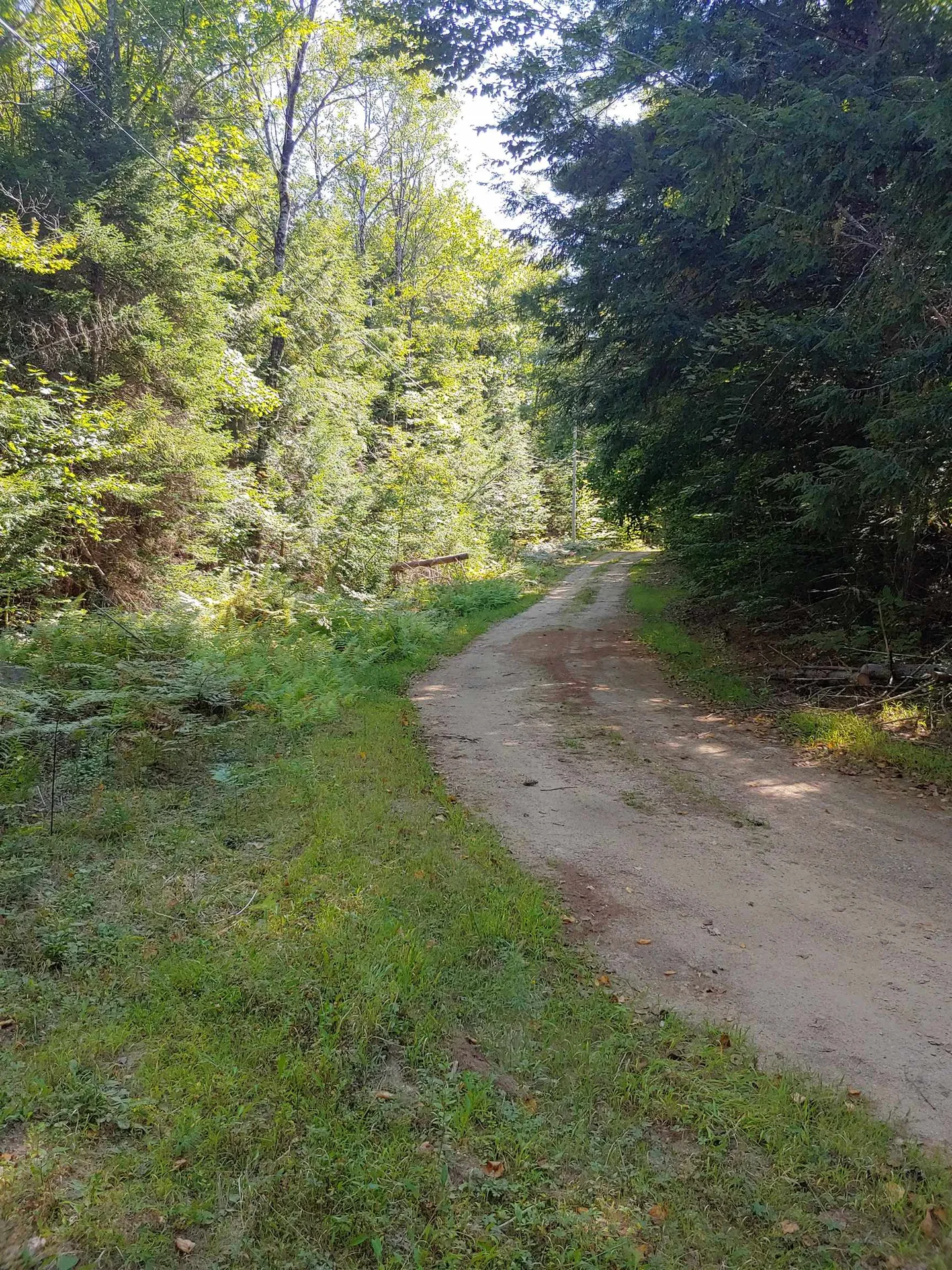 Lot 5 Spruce Court Barnstead NH 03225