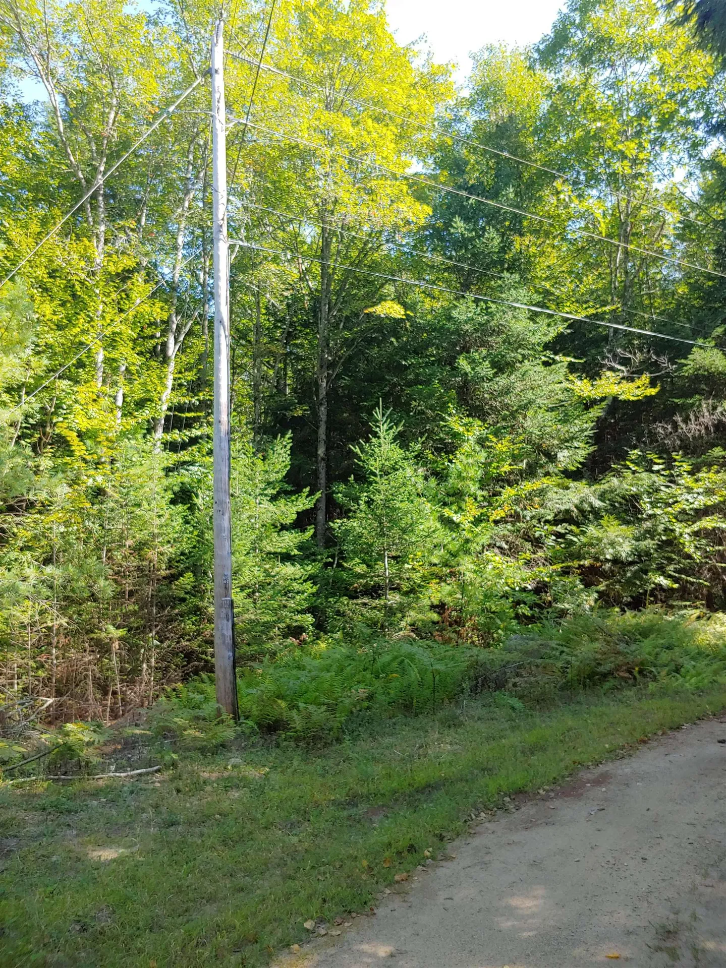 Lot 5 Spruce Court Barnstead NH 03225