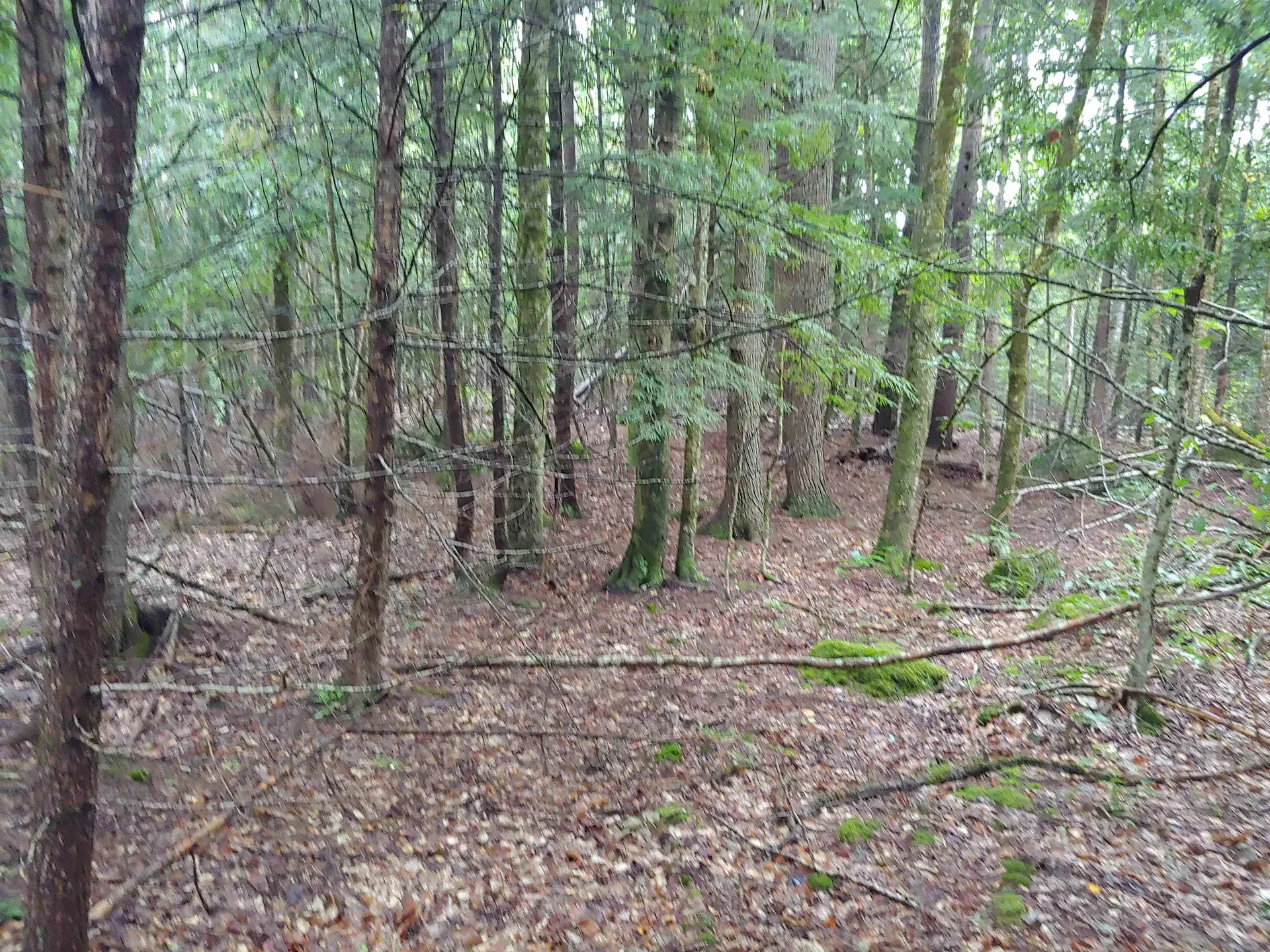 Lot 5 Spruce Court Barnstead NH 03225