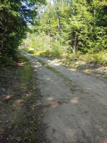 Lot 5 Spruce Court Barnstead NH 03225