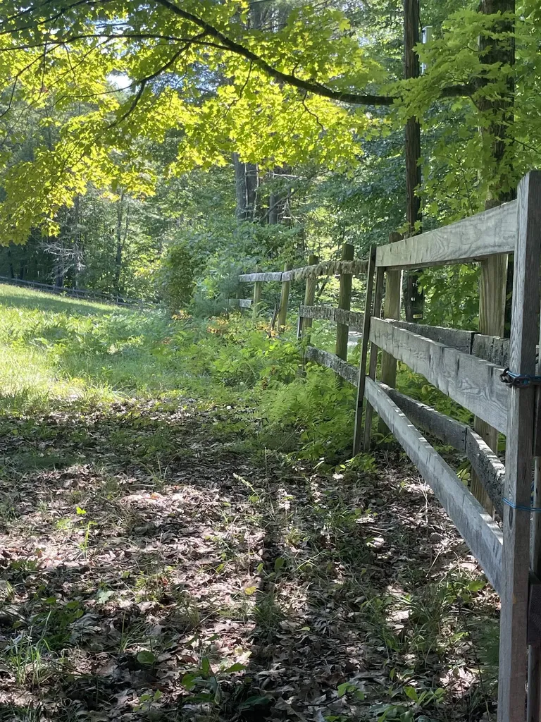 0 Mowrey Road Jamaica VT 05343