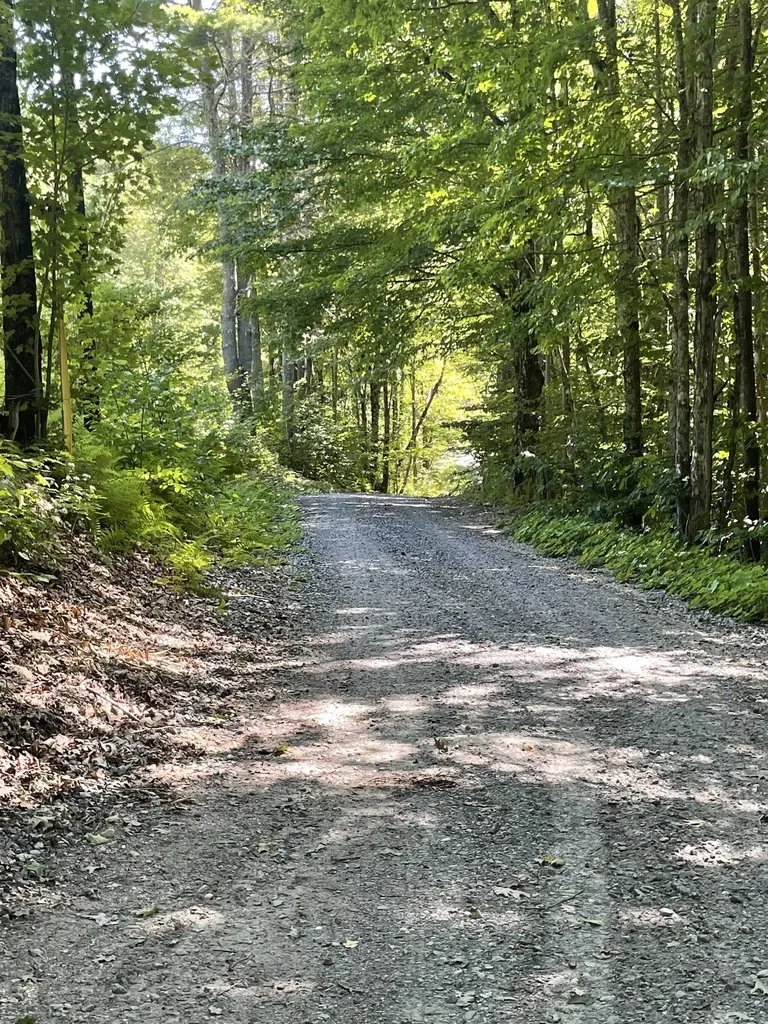 0 Mowrey Road Jamaica VT 05343