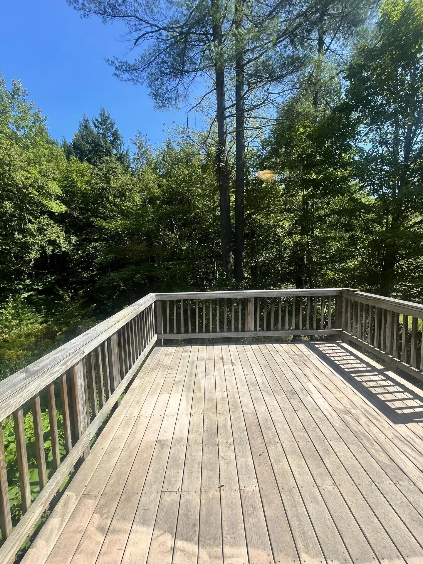 751 Vt Route 12 Middlesex VT 05602