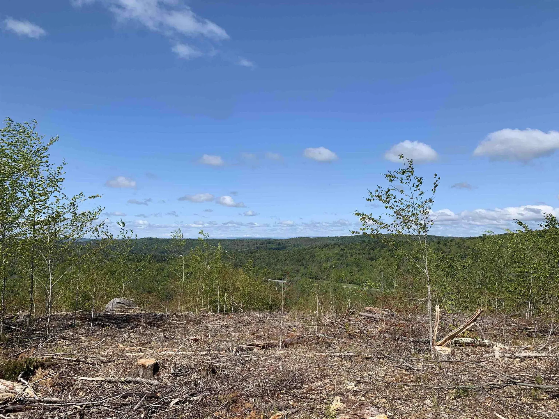 Lot 96-1 Granite Lake Road Nelson NH 03457