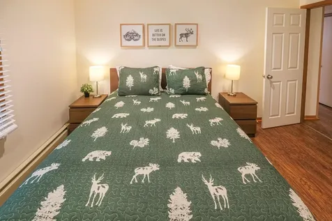21 Maple Lane Ludlow VT 05149