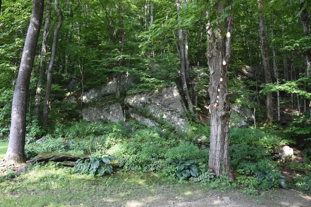 44 Drake Woods Road Bristol VT 05443