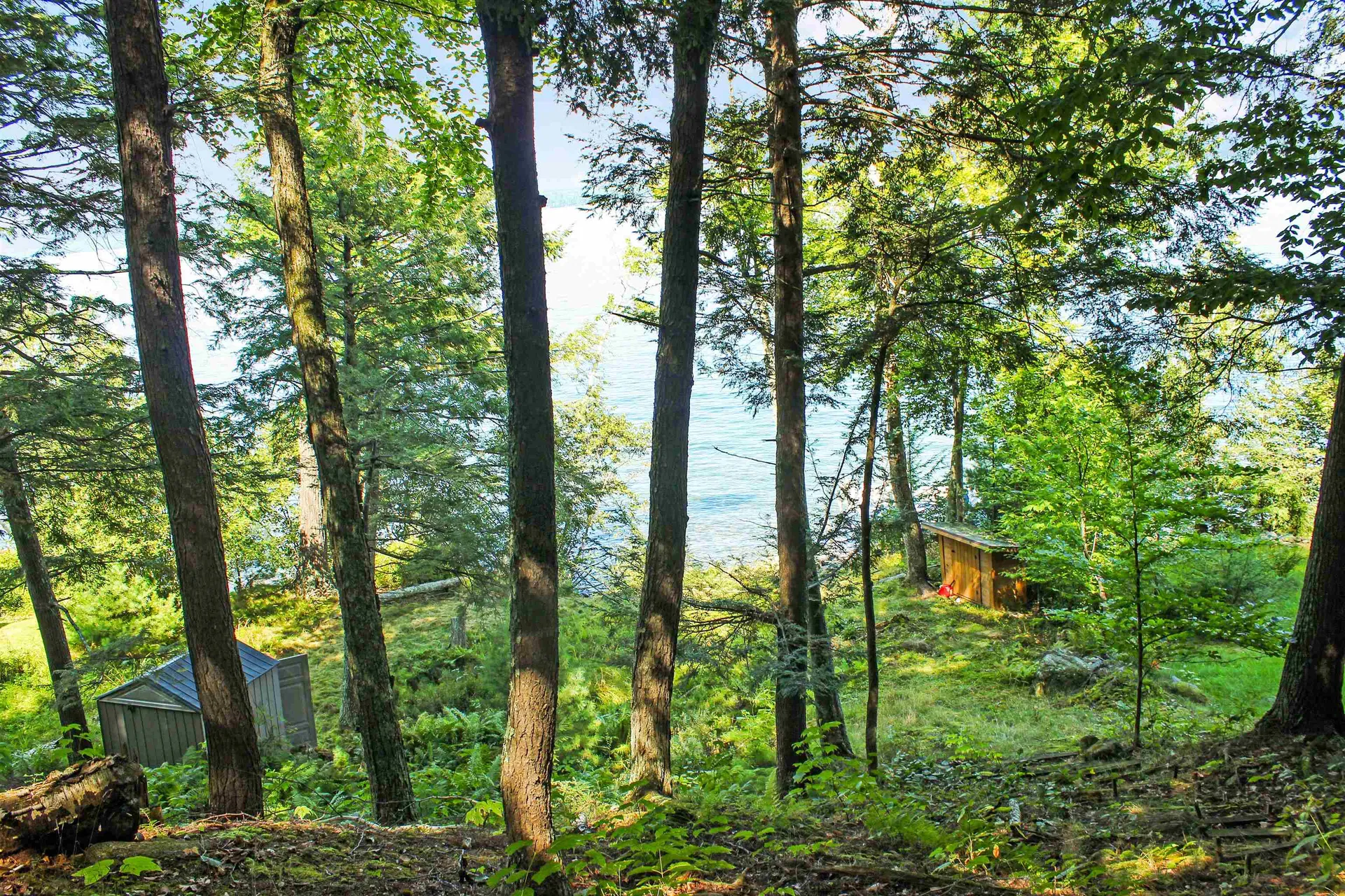 890 Rattlesnake Island Alton NH 03810