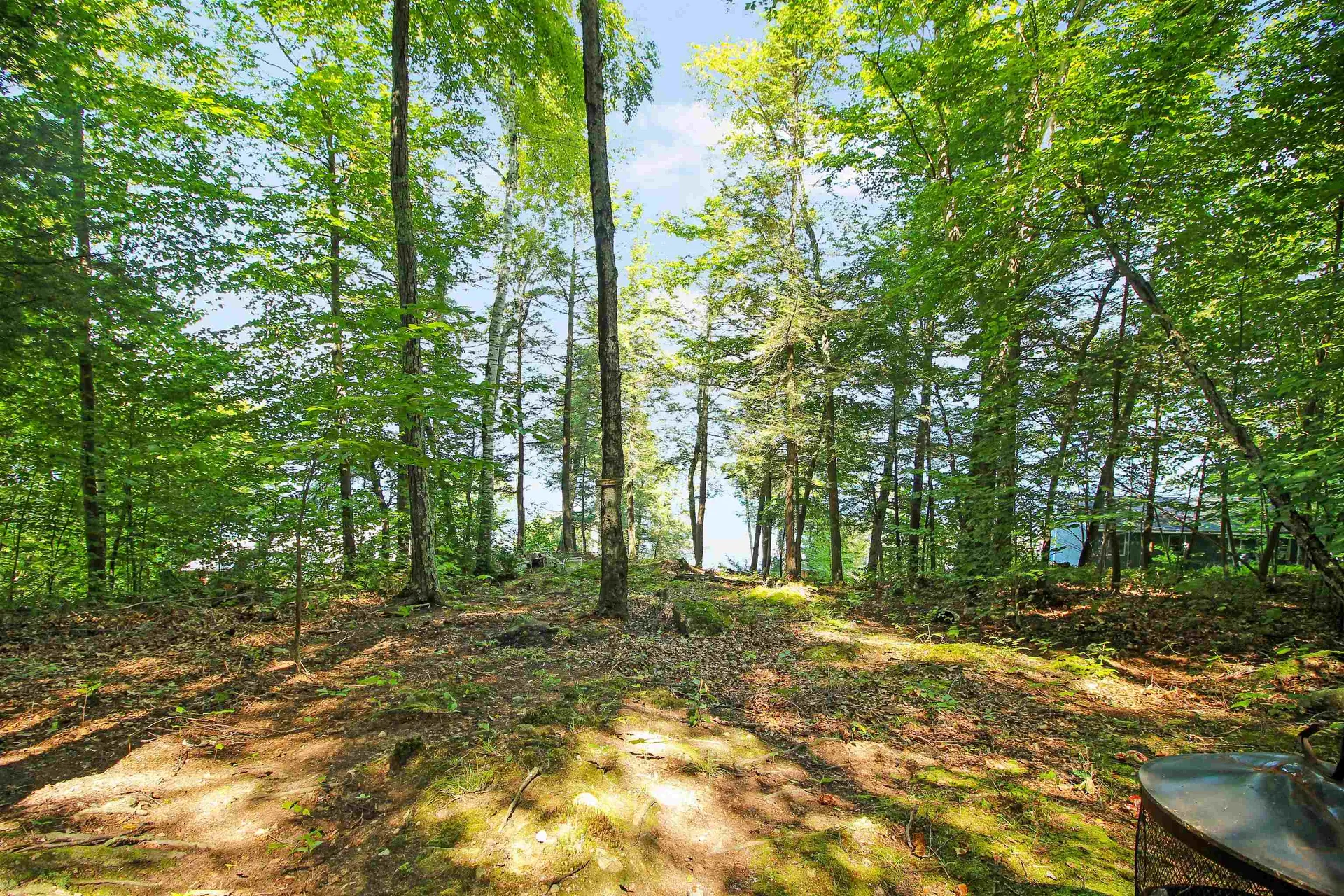 890 Rattlesnake Island Alton NH 03810