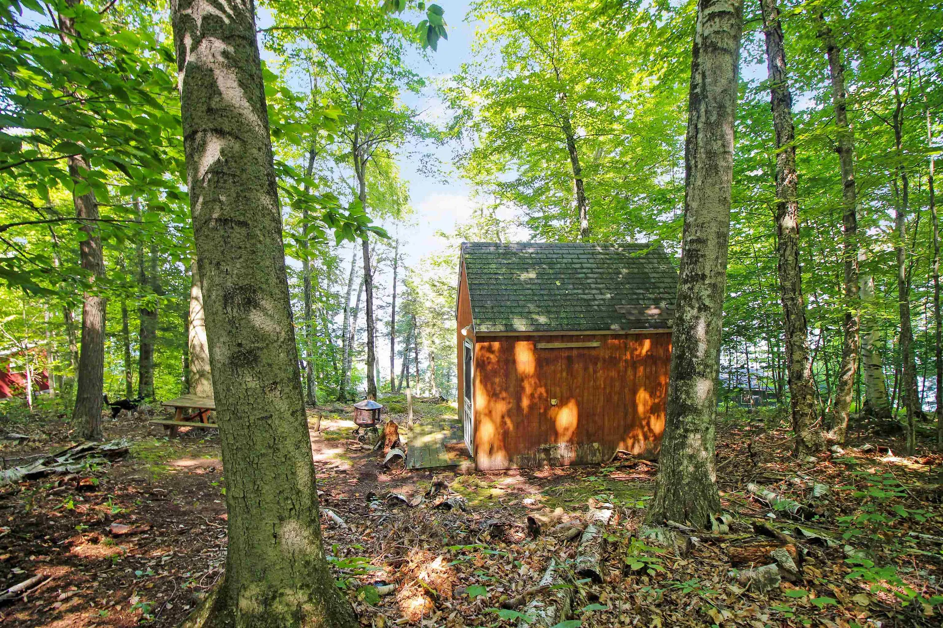 890 Rattlesnake Island Alton NH 03810