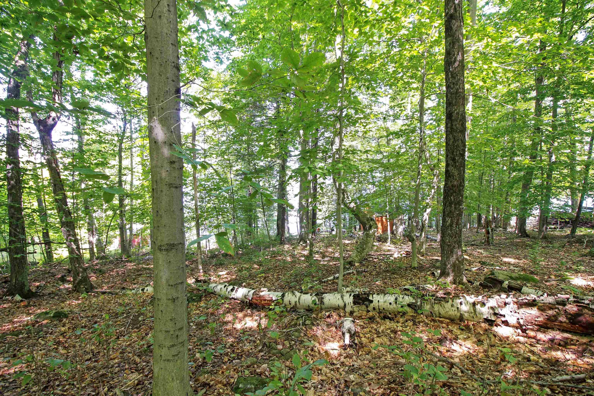 890 Rattlesnake Island Alton NH 03810
