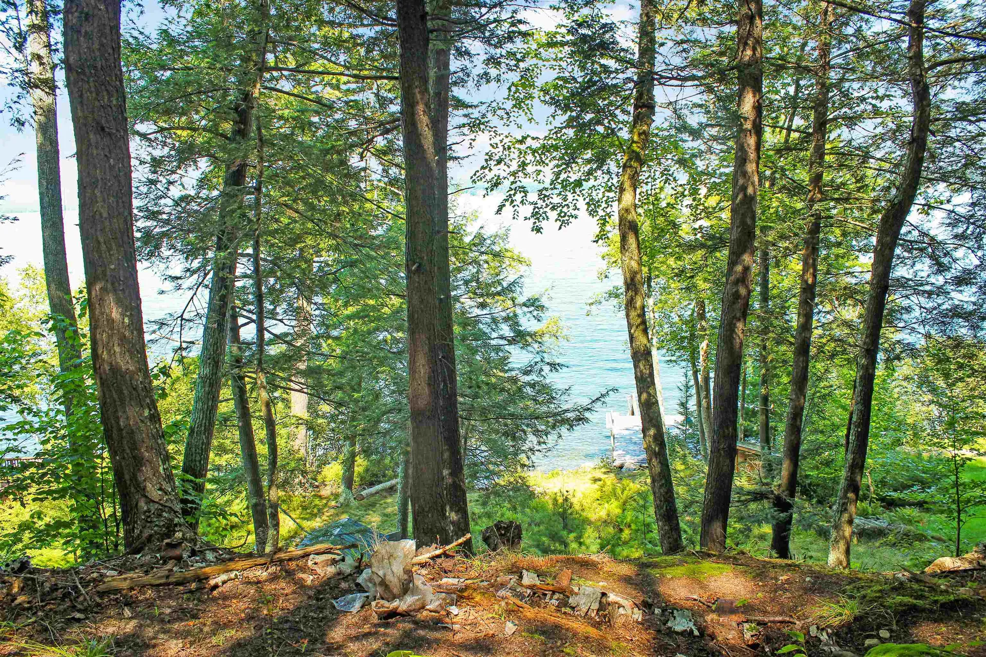 890 Rattlesnake Island Alton NH 03810