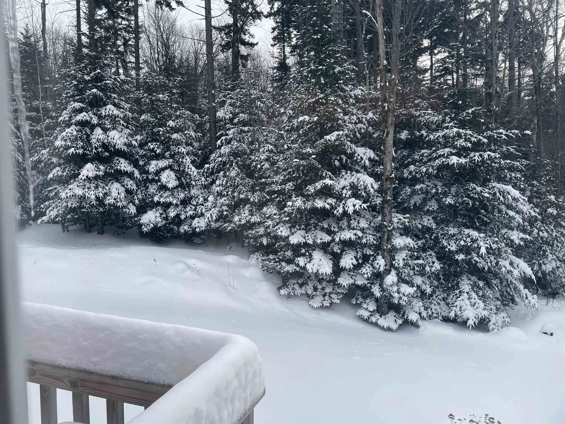 2298 West Hill Drive Readsboro VT 05350