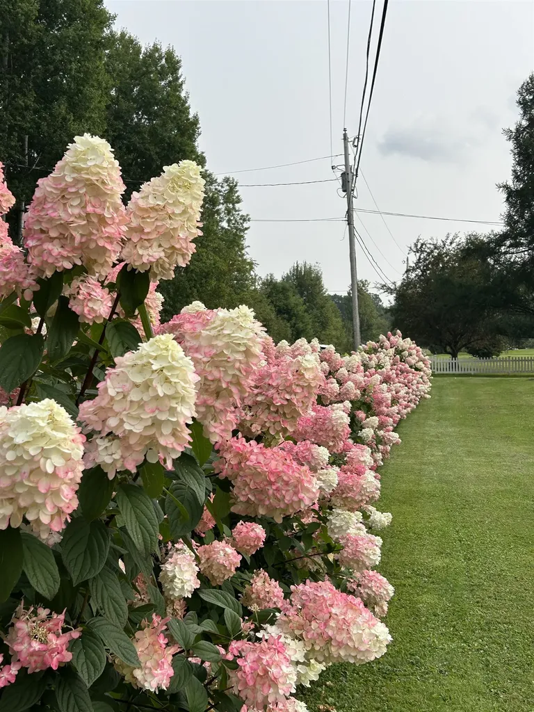 30 Peloquin Road Barre Town VT 05654