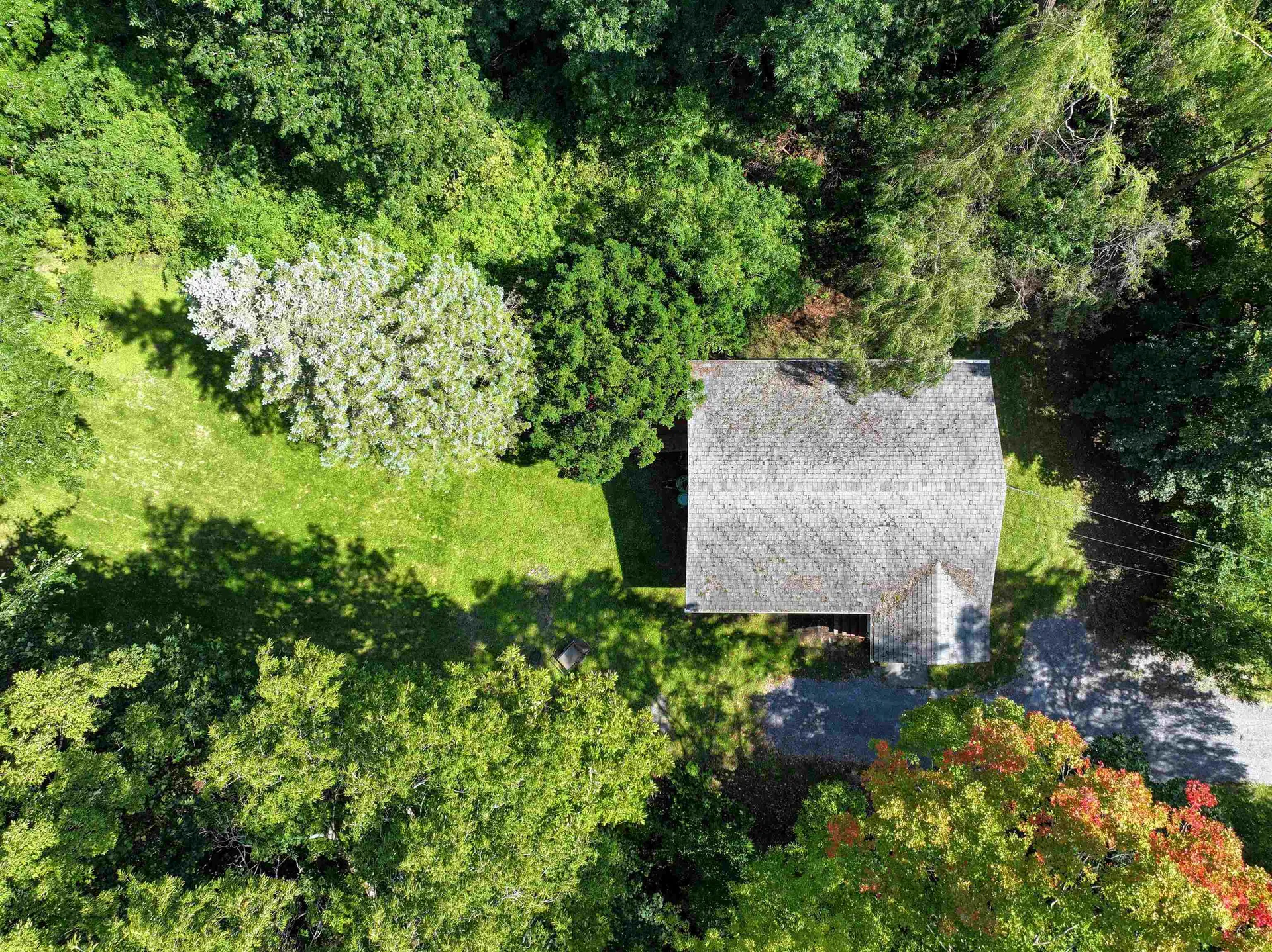 9 Washington Street Extension Middlebury VT 05753